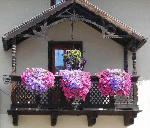 Sarkan Balkon Çiçekleri ile Harika Balkonlar!