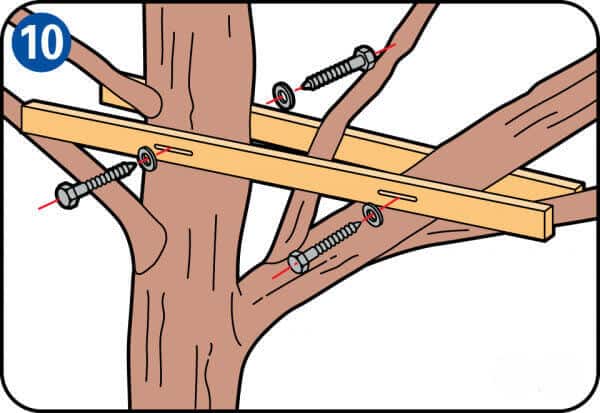 Ağaç Ev Yapımı: Ağaç Ev Nasıl Yapılır?