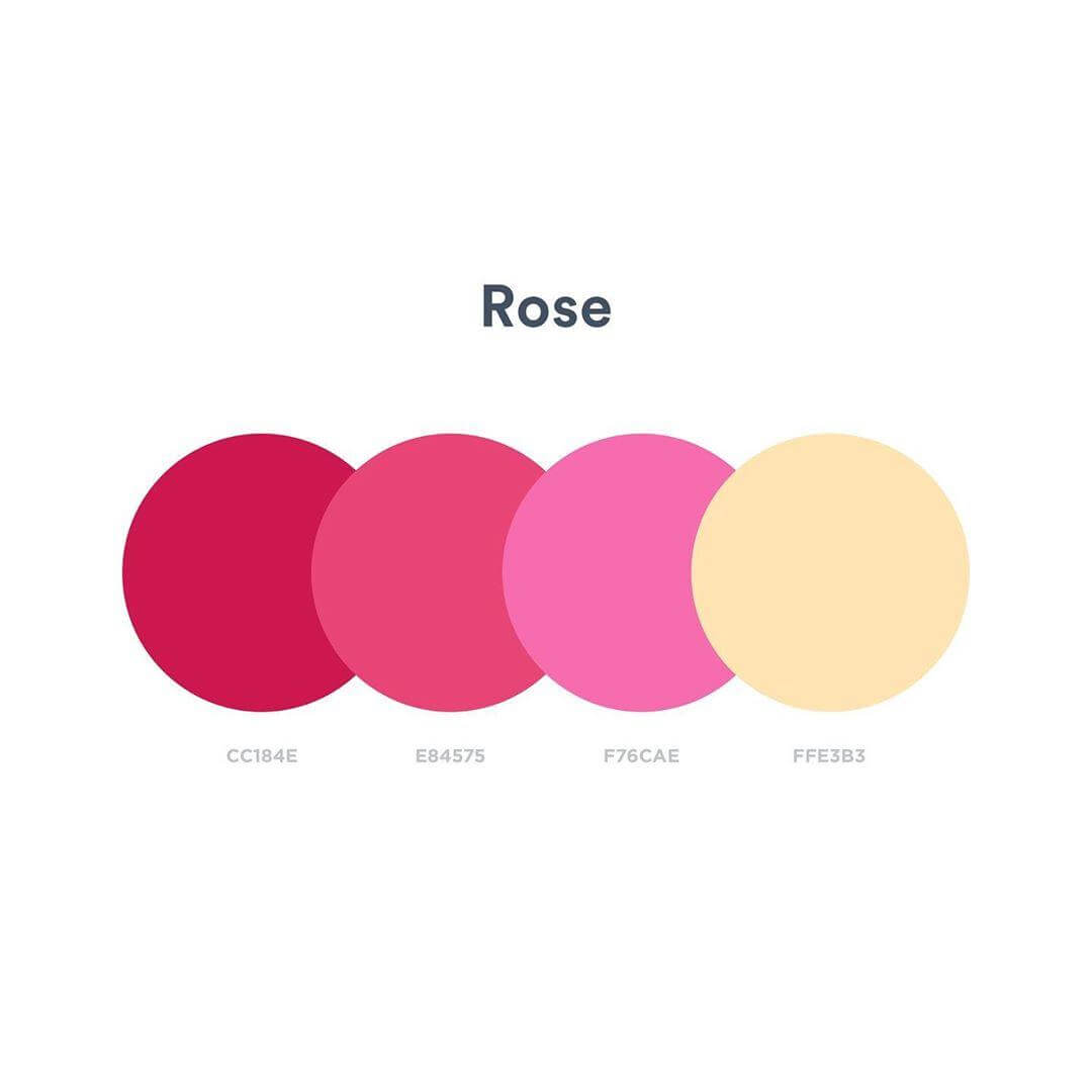 Birbirine Uyumlu Renkler Hangileridir? | 39 Renk Paleti