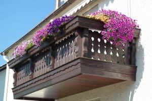 Sarkan Balkon Çiçekleri ile Balkon Dekorasyonu