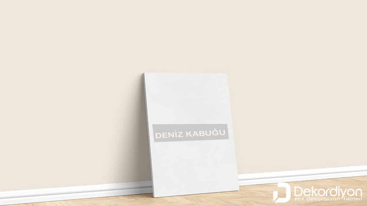 Marshall Deniz Kabuğu Rengi Duvar Boyası Örnekleri