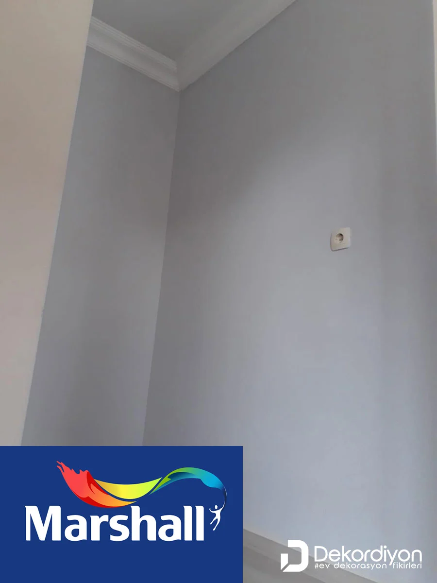 Marshall Gelin Teli Rengi Duvar Boyası 2023  