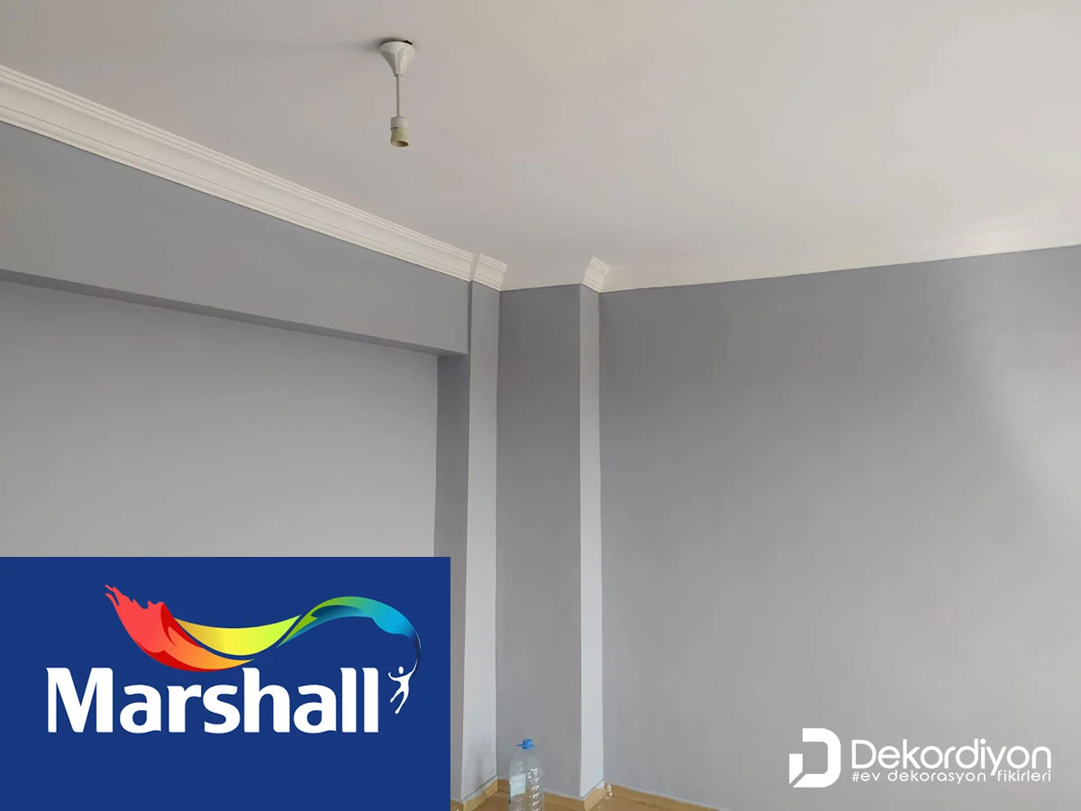 Marshall Gelin Teli Rengi Duvar Boyası 2023  