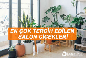 En Çok Tercih Edilen Salon Çiçekleri Listesi (+28 Çiçek)  