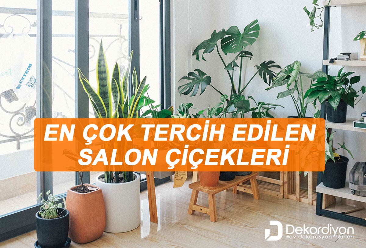 En Çok Tercih Edilen Salon Çiçekleri Listesi (+28 Çiçek)  