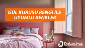 Gül Kurusu Rengi ile Uyumlu Renkler 2024  
